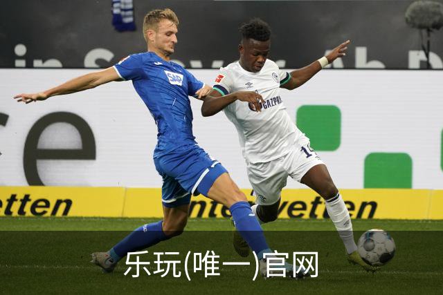 乐玩(唯一)官网公司介绍